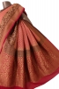 Double Contrast Handloom Banarasi Georgette Silk Saree